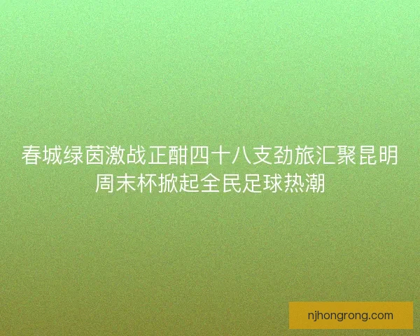 春城绿茵激战正酣四十八支劲旅汇聚昆明周末杯掀起全民足球热潮